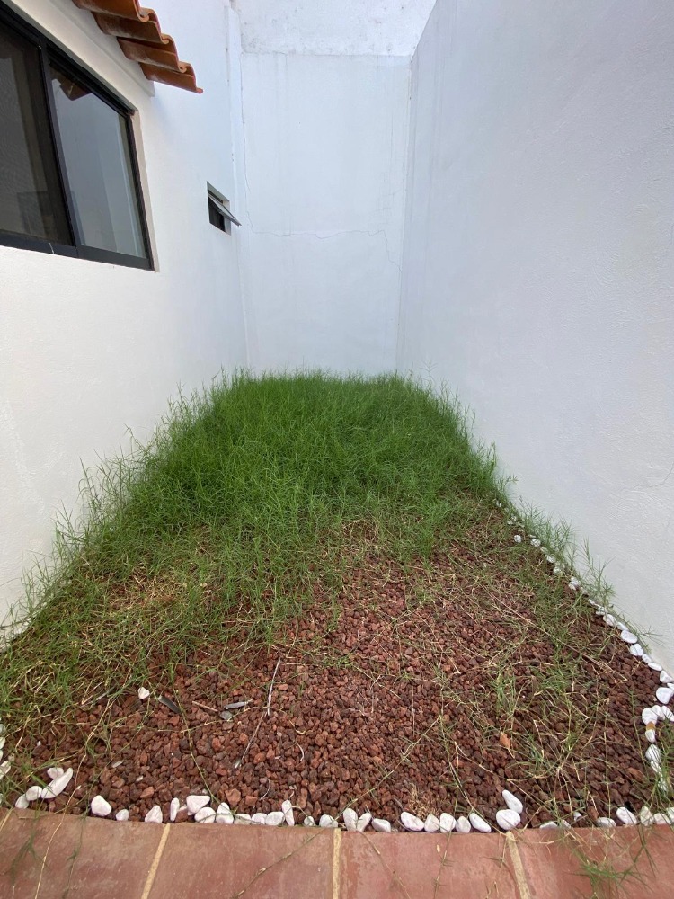 Casa Claudia, in Riberas del Pilar, Chapala, Ajijic w/panoramic roof top