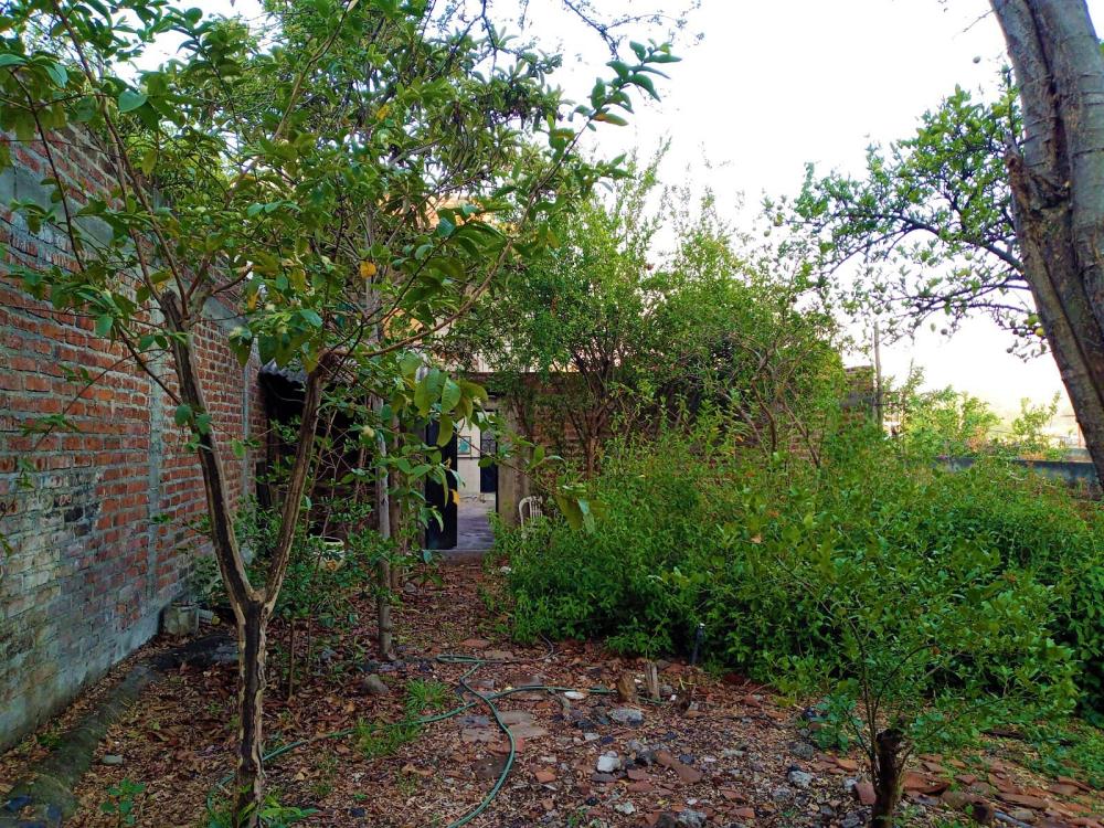 Colonia Nueva Espana, JACONA, Michoacan, Mexico