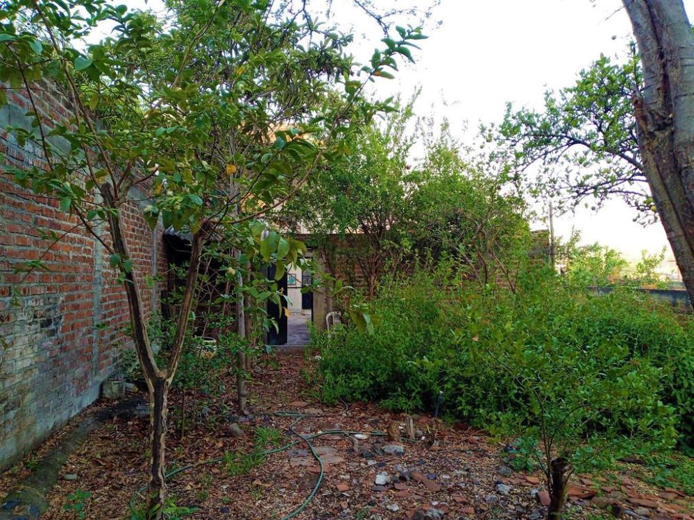 Colonia Nueva Espana, JACONA, Michoacan, Mexico