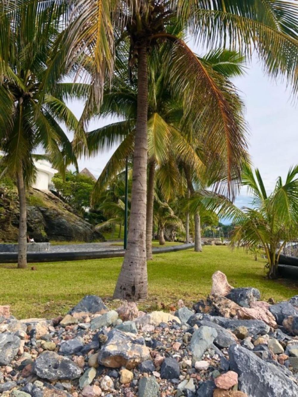 Zona Hotelera 1, Ixtapa Zihuatanejo, Guerrero