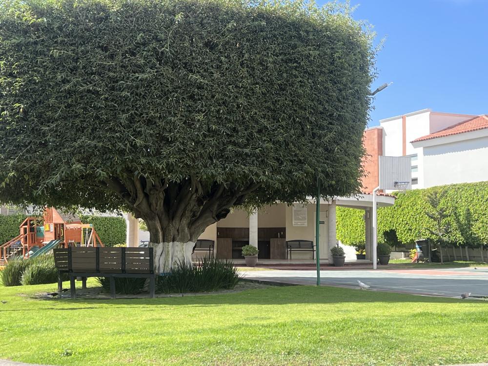 Renta Coto Arrayanes parque Metropolitano